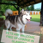Glamping Forest Edge Роскошный шатер *