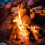 Роскошный шатер Glamping Forest Edge