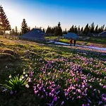 Glamping Forest Edge Роскошный шатер Камник