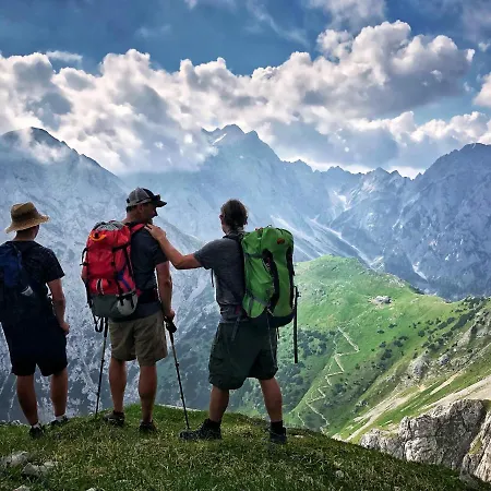 Glamping Forest Edge