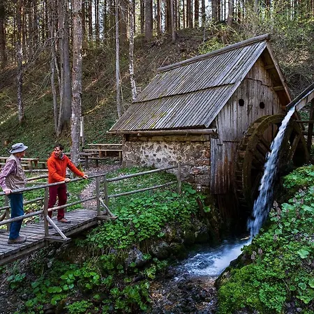 Glamping Forest Edge Luksustelt