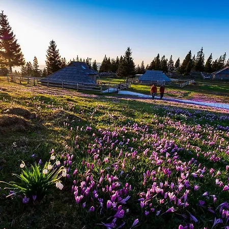 Glamping Forest Edge Luksuzni šator Kamnik