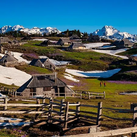 Glamping Forest Edge Kamnik