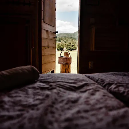 Glamping Forest Edge
