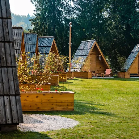 Glamping Forest Edge