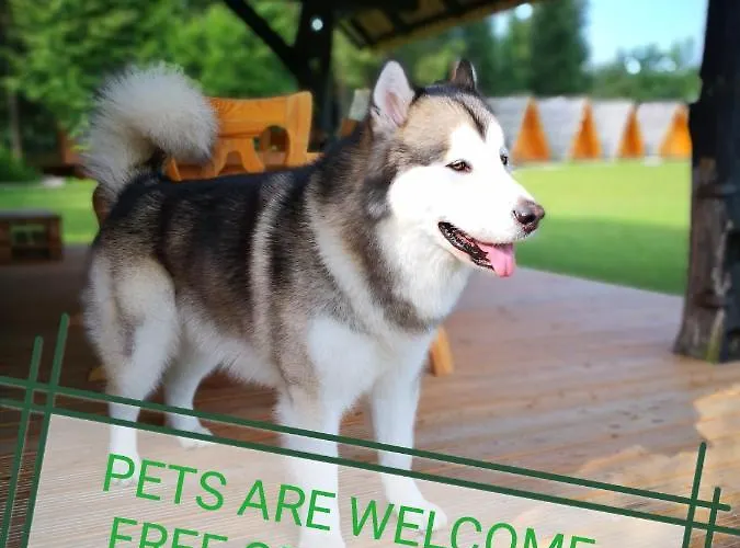 Glamping Forest Edge 럭셔리텐트 *