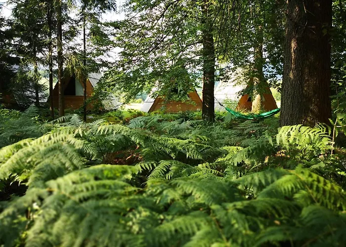 Glamping Forest Edge * Kamnik