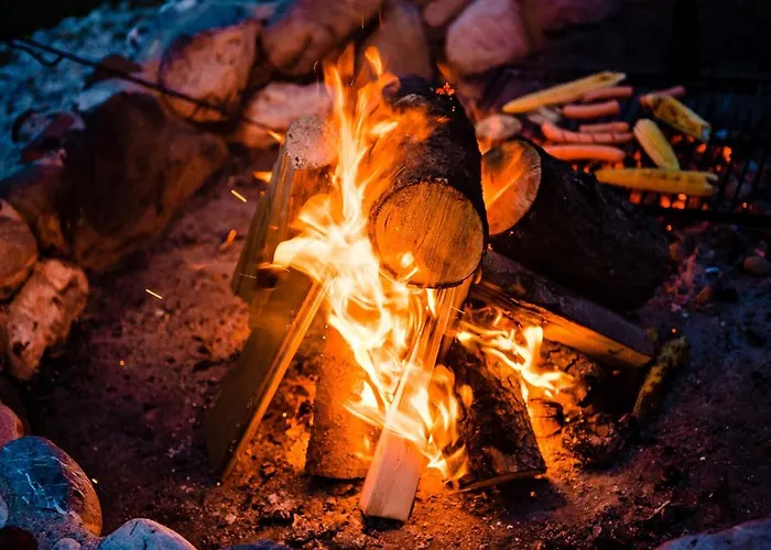 럭셔리텐트 Glamping Forest Edge