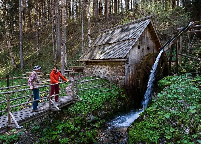 Glamping Forest Edge Luksusowy namiot