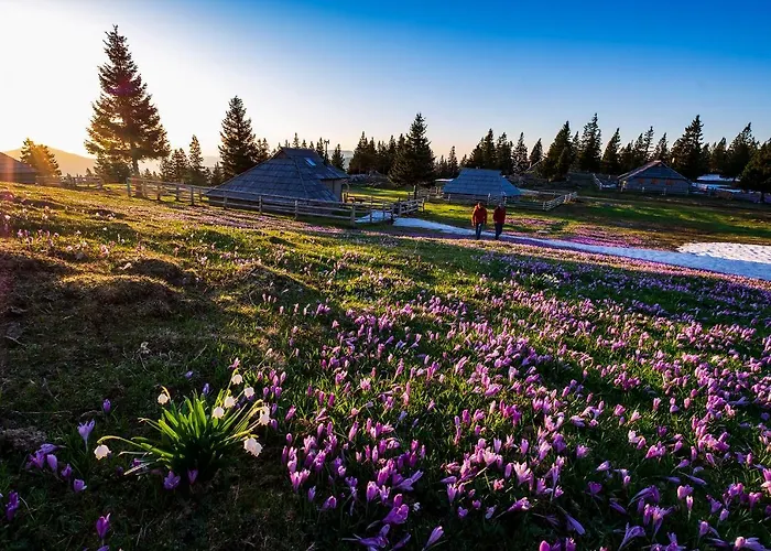 Glamping Forest Edge Luksusowy namiot Kamnik