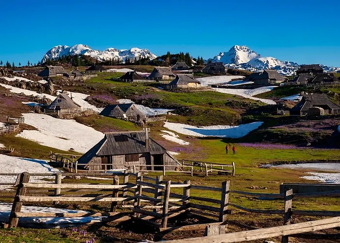 Glamping Forest Edge Kamnik