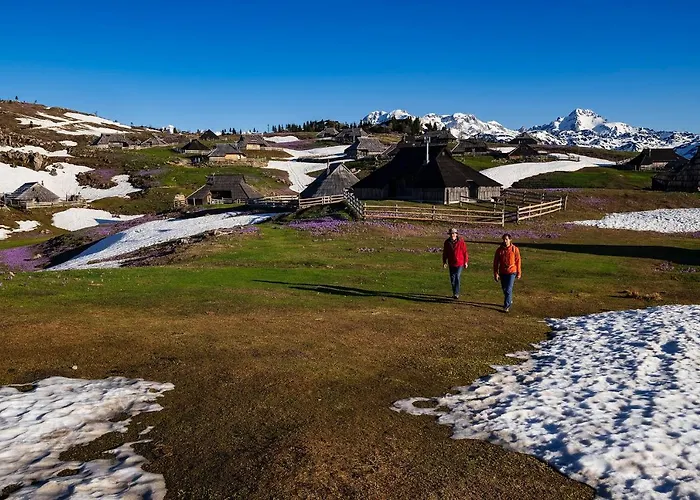 Glamping Forest Edge * カムニーク