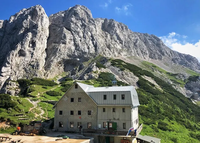 Glamping Forest Edge