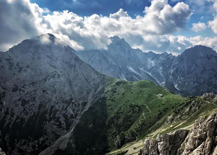 Glamping Forest Edge